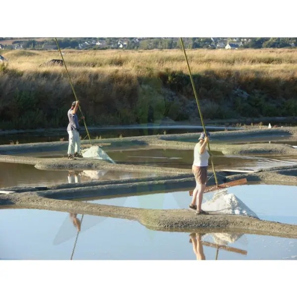 RYZÍ KELTSKÁ SŮL JEMNÁ 500 G